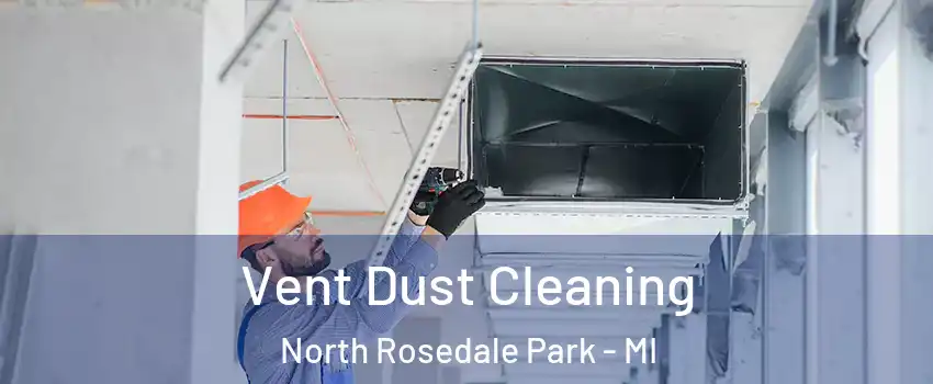 Vent Dust Cleaning North Rosedale Park - MI