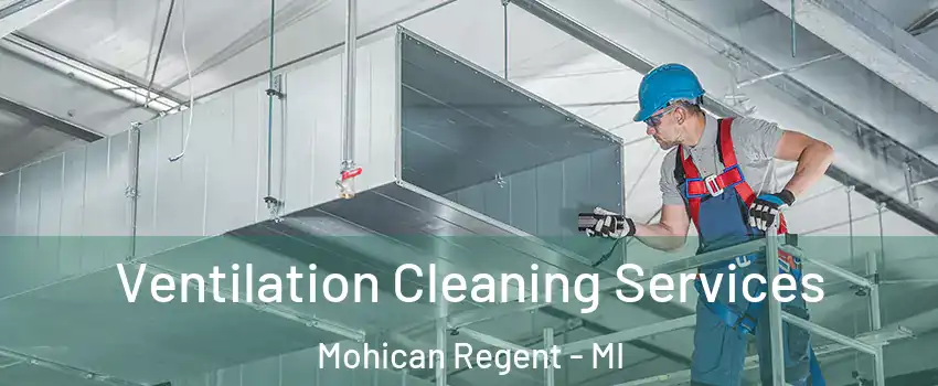 Ventilation Cleaning Services Mohican Regent - MI