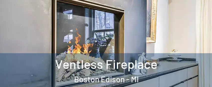 Ventless Fireplace Boston Edison - MI