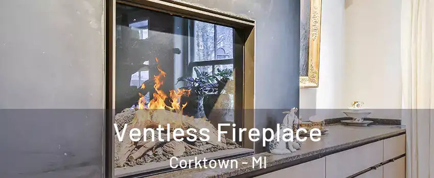 Ventless Fireplace Corktown - MI