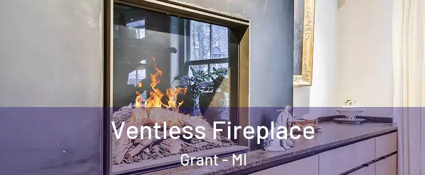 Ventless Fireplace Grant - MI
