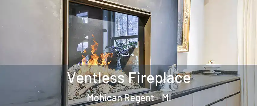 Ventless Fireplace Mohican Regent - MI