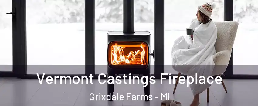 Vermont Castings Fireplace Grixdale Farms - MI