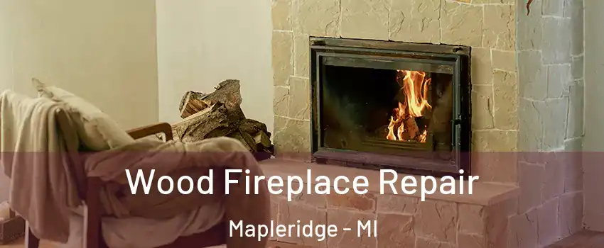 Wood Fireplace Repair Mapleridge - MI