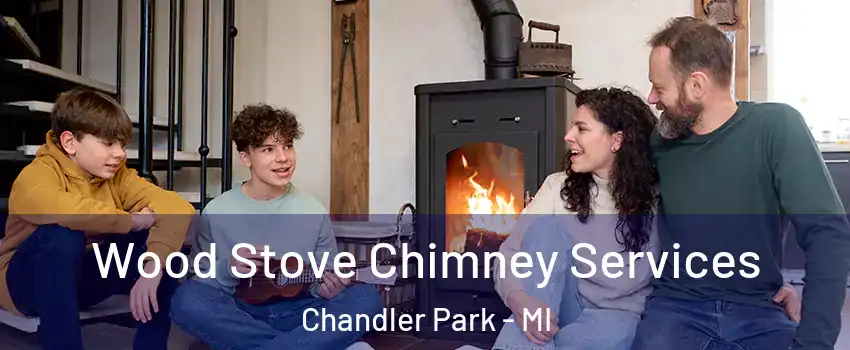 Wood Stove Chimney Services Chandler Park - MI