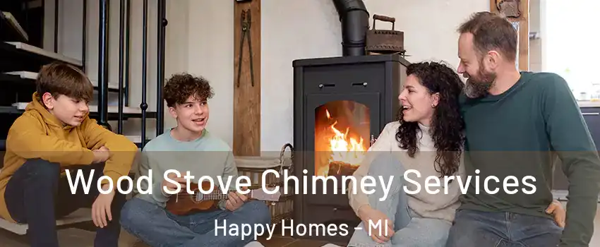 Wood Stove Chimney Services Happy Homes - MI