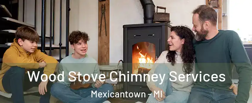 Wood Stove Chimney Services Mexicantown - MI