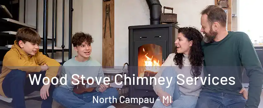 Wood Stove Chimney Services North Campau - MI