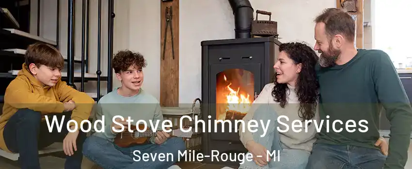 Wood Stove Chimney Services Seven Mile-Rouge - MI