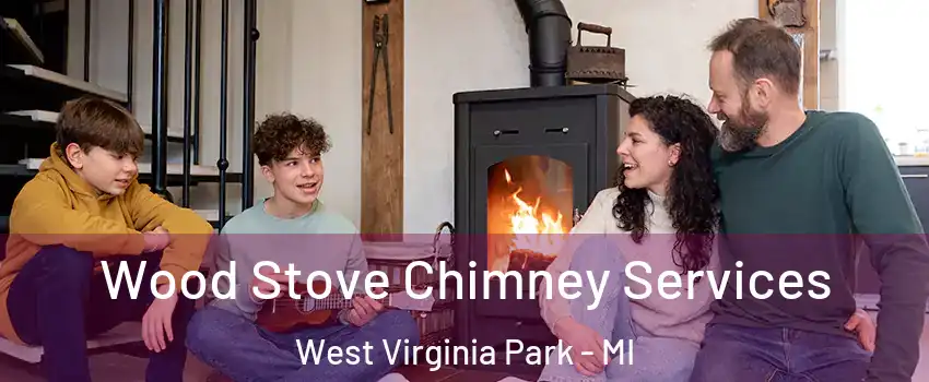 Wood Stove Chimney Services West Virginia Park - MI