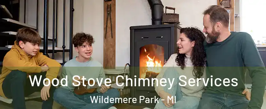 Wood Stove Chimney Services Wildemere Park - MI