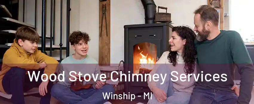 Wood Stove Chimney Services Winship - MI