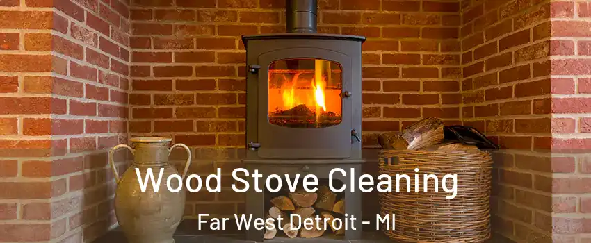 Wood Stove Cleaning Far West Detroit - MI