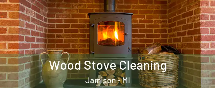 Wood Stove Cleaning Jamison - MI