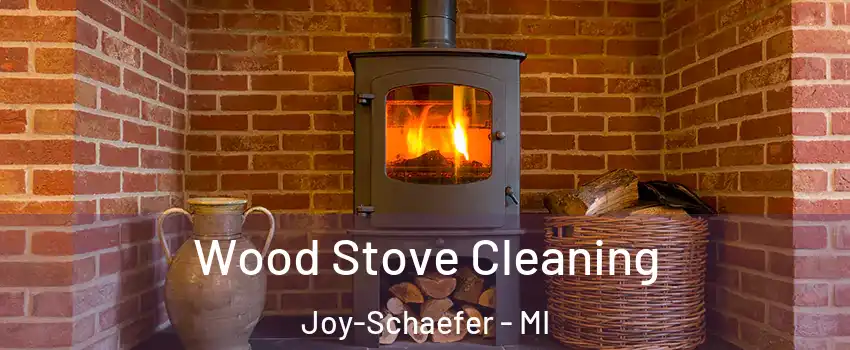 Wood Stove Cleaning Joy-Schaefer - MI