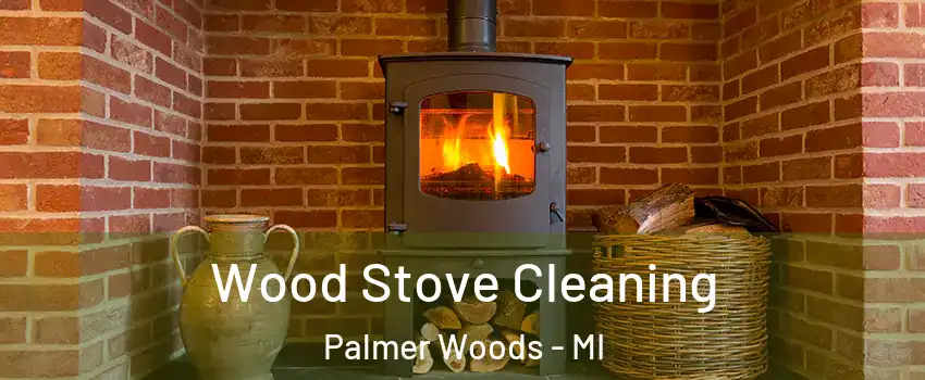 Wood Stove Cleaning Palmer Woods - MI