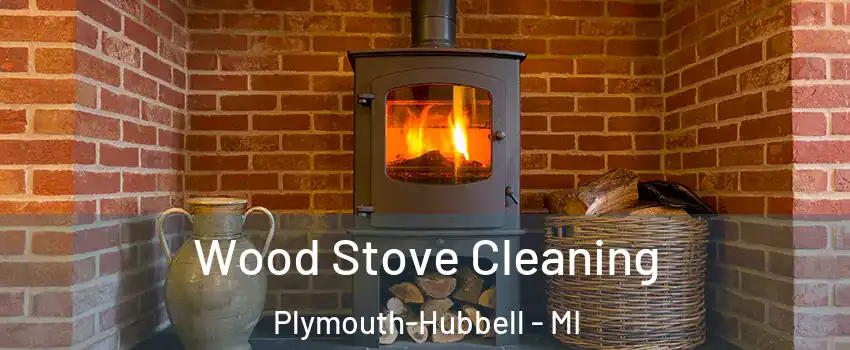 Wood Stove Cleaning Plymouth-Hubbell - MI