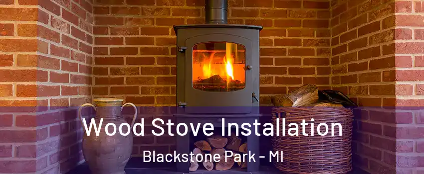 Wood Stove Installation Blackstone Park - MI