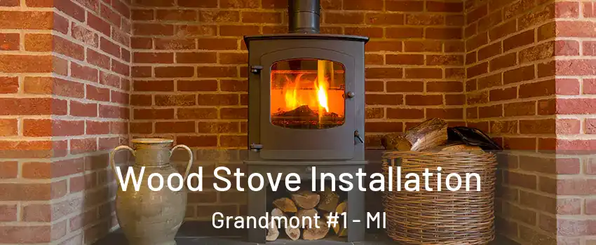 Wood Stove Installation Grandmont #1 - MI
