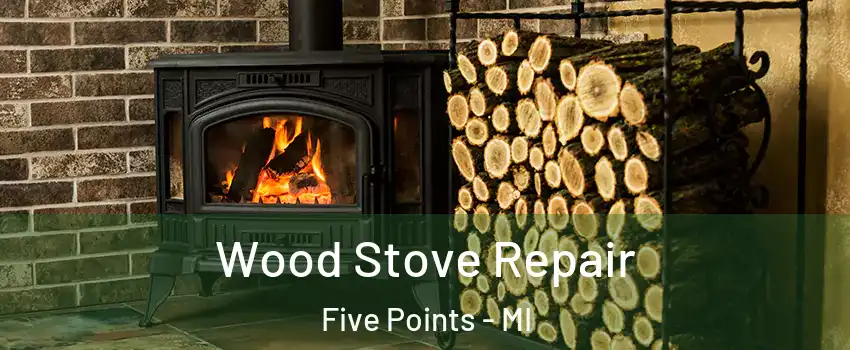 Wood Stove Repair Five Points - MI