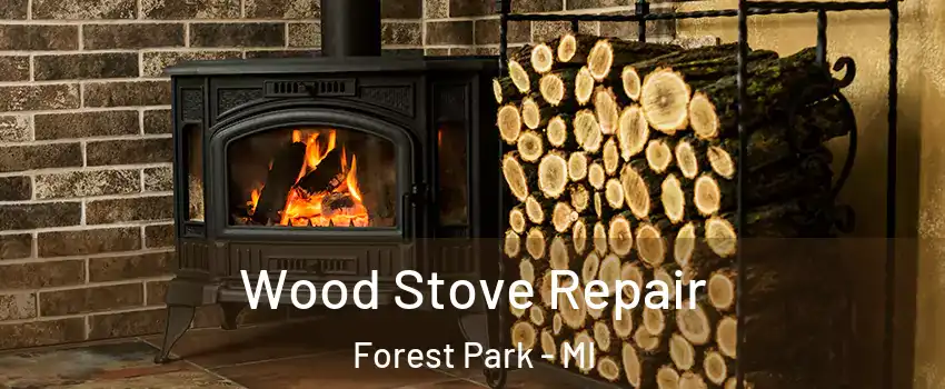 Wood Stove Repair Forest Park - MI