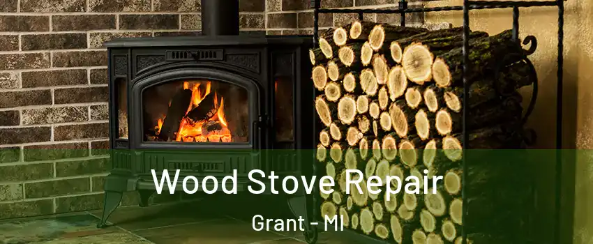 Wood Stove Repair Grant - MI