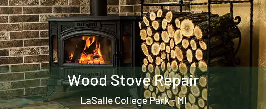 Wood Stove Repair LaSalle College Park - MI